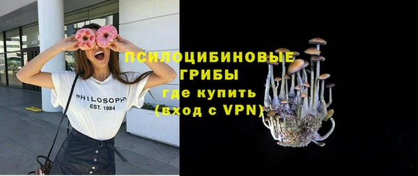 амф Аркадак