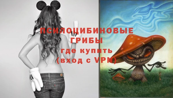 амф Аркадак
